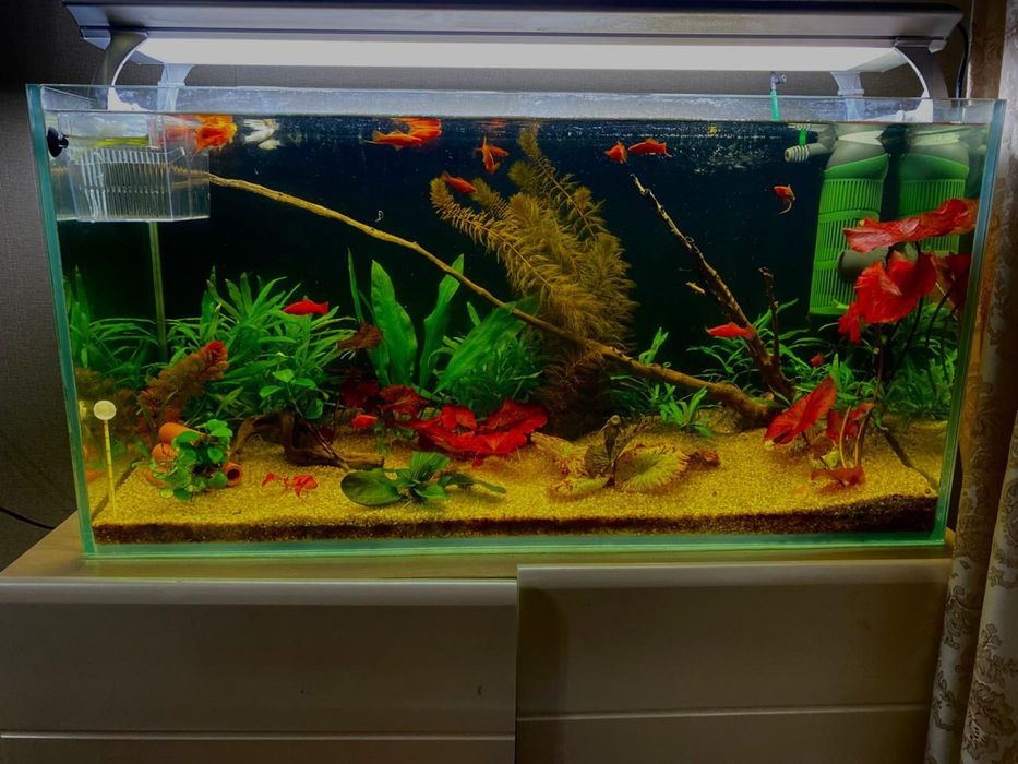 Продам аквариум