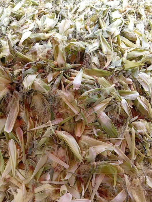 Tekin!!! Joxori pochogi tekin kinga kerak bolsa olib ketilar