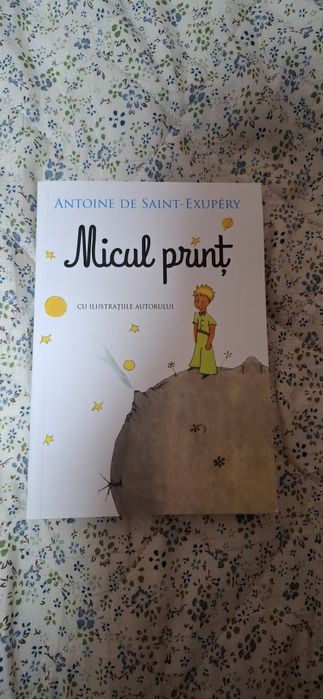 Lot carti de citit pentru copii