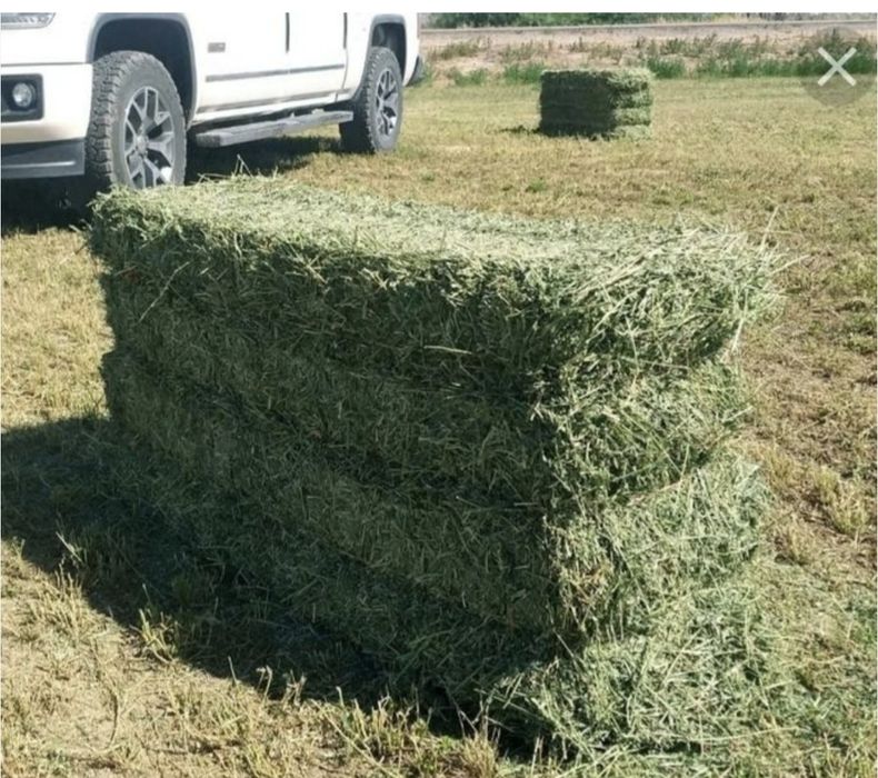 Beda press kimga kerak bo'lsa marhamat