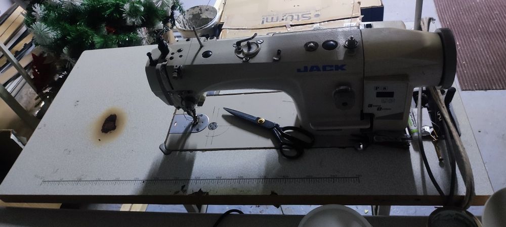 Шагайка тупикал Торг