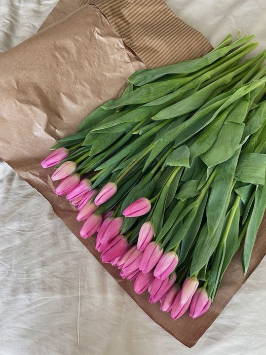 Тюльпаны пачками по 20штук