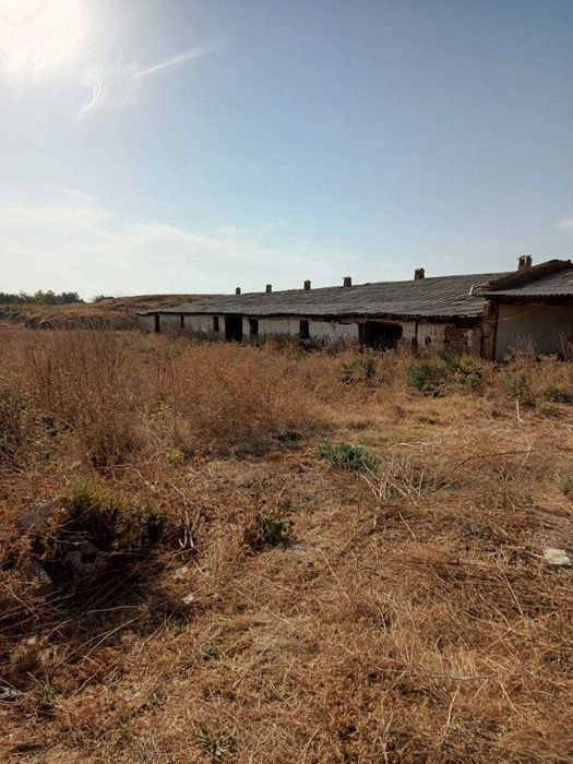 Продаётся земля 400 соток (4 гек) в Таш. области. Майский 1