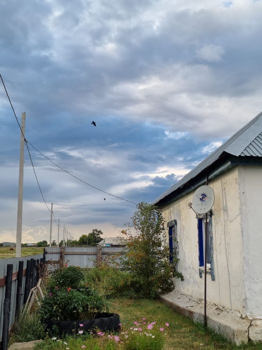 Продам дом с большим участком