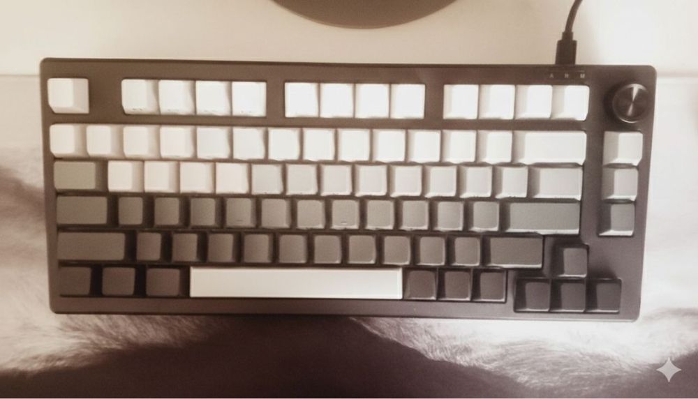 IP75   Klaviatura 75%