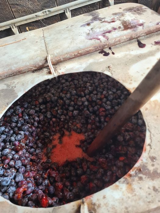 Prune pentru țuică