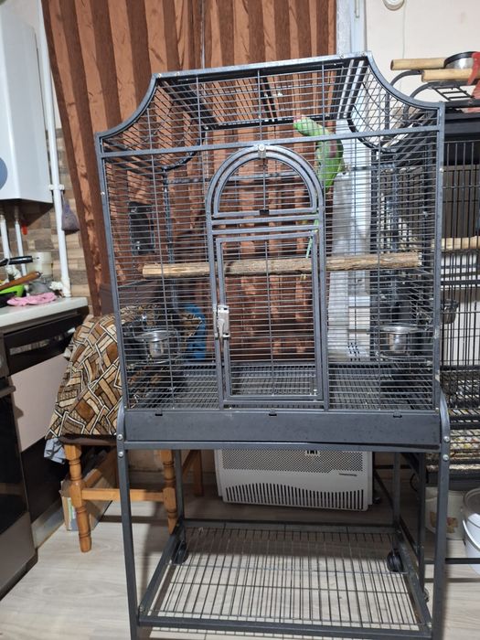 Jucarie Papagal Marele Alexandru + volieră