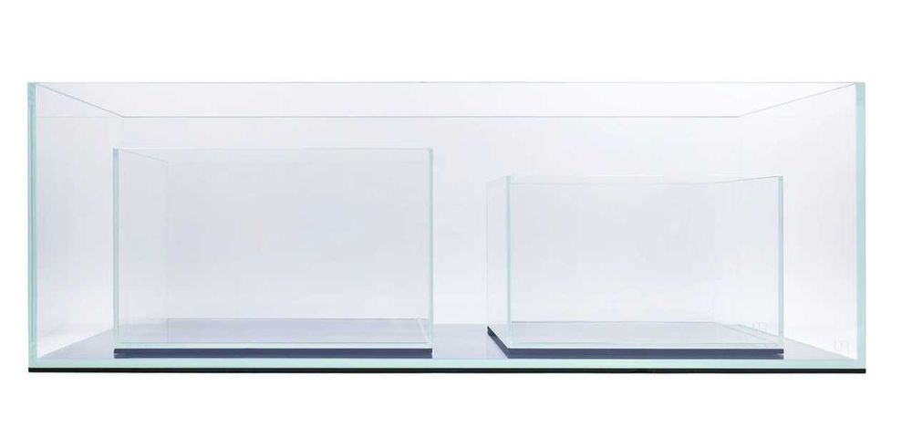 ACVARII  la comandă la cele mai  bune prețuri ! Comanda acum !