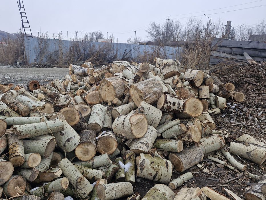 Дрова чурками 16000тг -1 куб