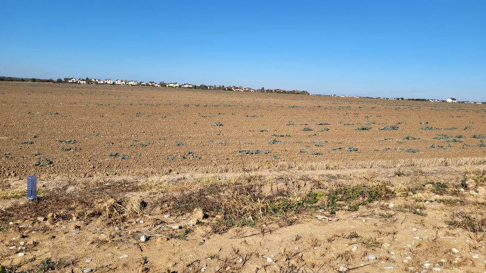 Teren de Vanzare Comuna Berceni