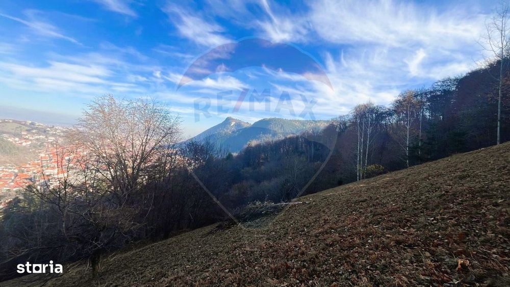 Teren Colinar Panoramic – 17.684 mp în Scheii Brașovului