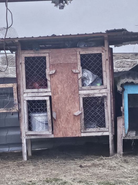 Vând cuști  de iepuri  una cu 4 si alta cu 6 locuri