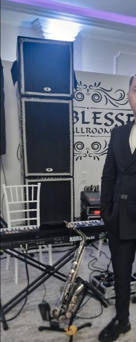 Coloana Dynacord XA2 100% ORIGINAL