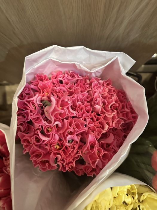 Продам тюльпаны крупные по вкусной цене