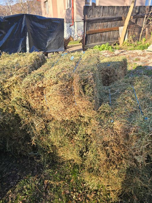 Vand baloti de lucerna si fan