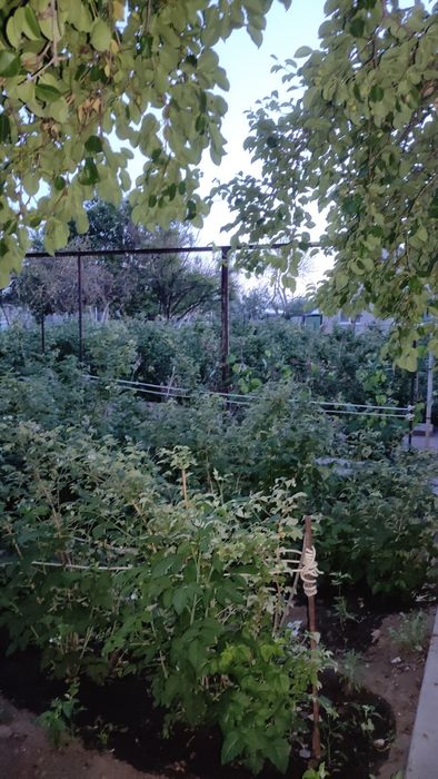 Дача ФАКЕЛ  продается