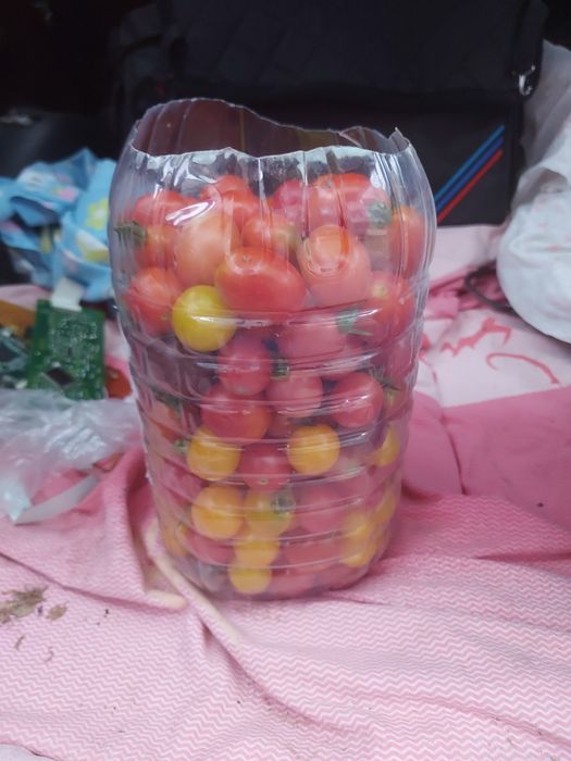 Свежие домашние помидоры
Продам с