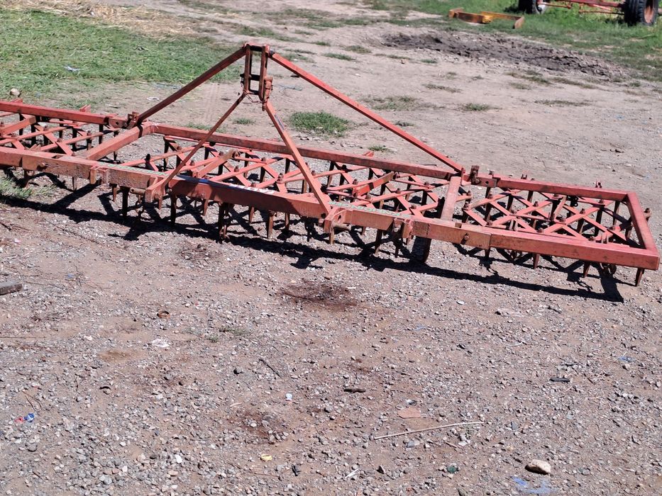 Set grape 3.8 m Vogel Noot.