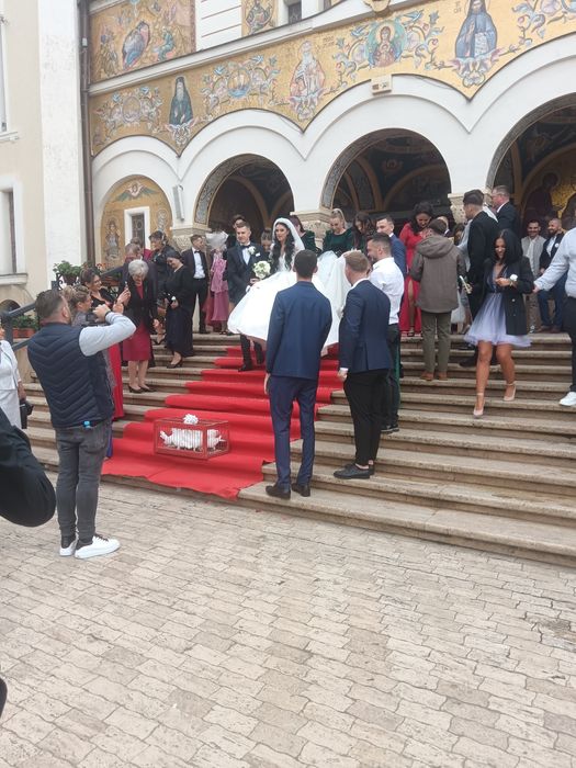 Porumbei albi pentru nunti Timișoara