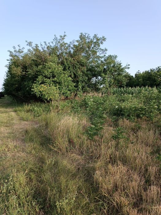 Vand teren intravilan