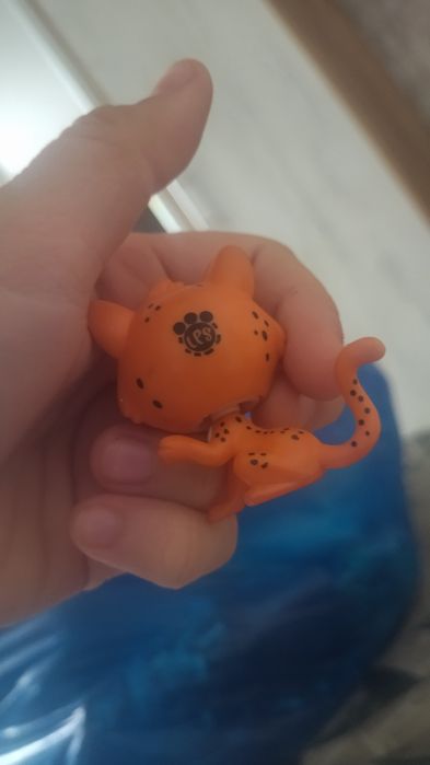 Продам тигра лпс