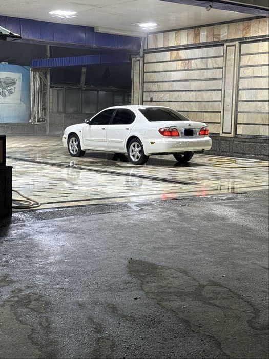 Nissan maxima ishqibozlari uchun dodasi