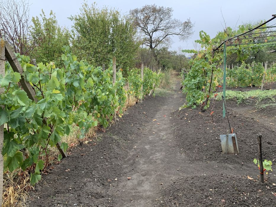 Продава се Къща в с. Попица, Област Враца - 2100 кв.м за 4 €/кв.м - Снимка #1