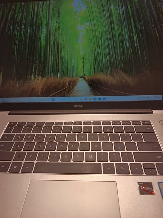 Huawei MateBook D 15 BOHK-WAX9X
cu AMD Ryzen 7 3700U, 8 GB RAM și graf