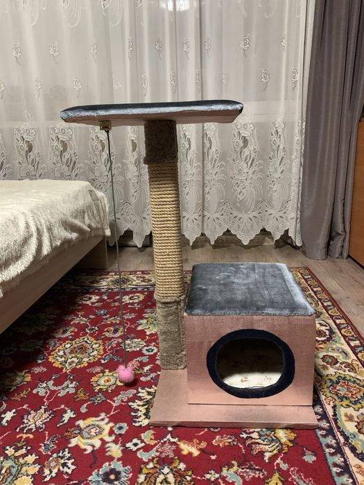 Кошачий домик