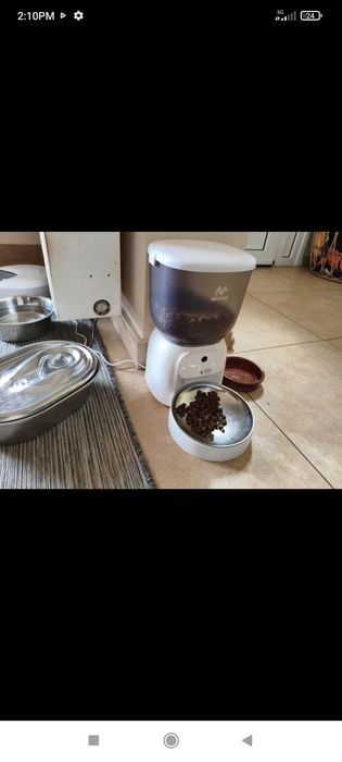 Катерушка за котки