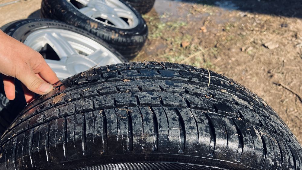 Торес 16 торус 16