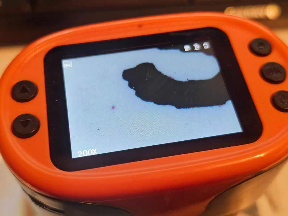 Microscop digital Bebang portabil pana la 1000X