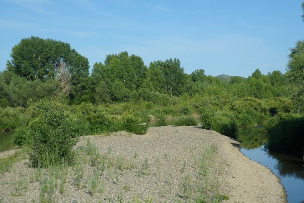 Продам дом в селе Быструха