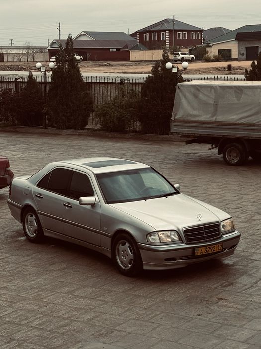 Обмен с моей доп Титанка черепаха р15