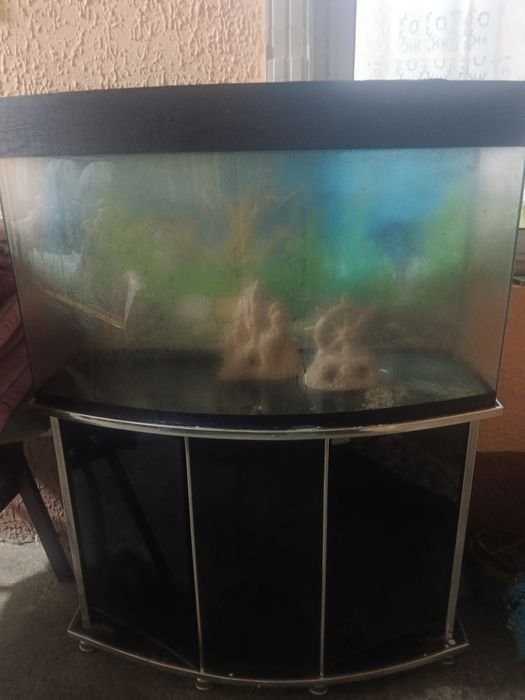 Аквариум для рыб