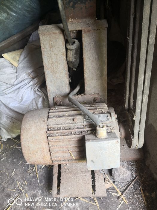 Роначка с чукове