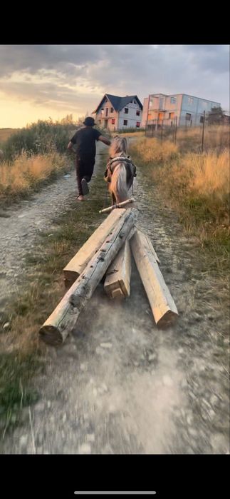 Ponei de  vnzare