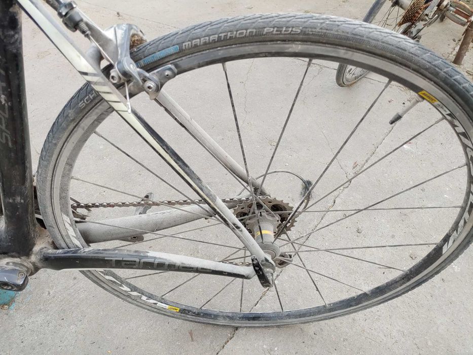 Specialized Tarmac Carbon – Mărime M (54) – Cadru Carbon FACT