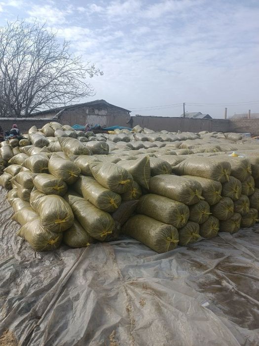 Синаж сотилади оптимга 15000