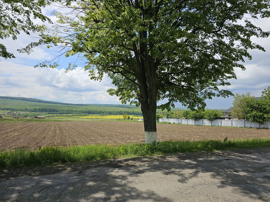 Vând 55,5 ari teren în Mitocu Dragomirnei