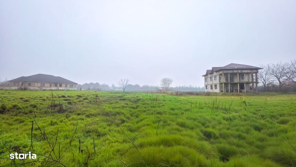 Teren intravilan Domnești-Strada Zori de Zi-Sos. Independentei