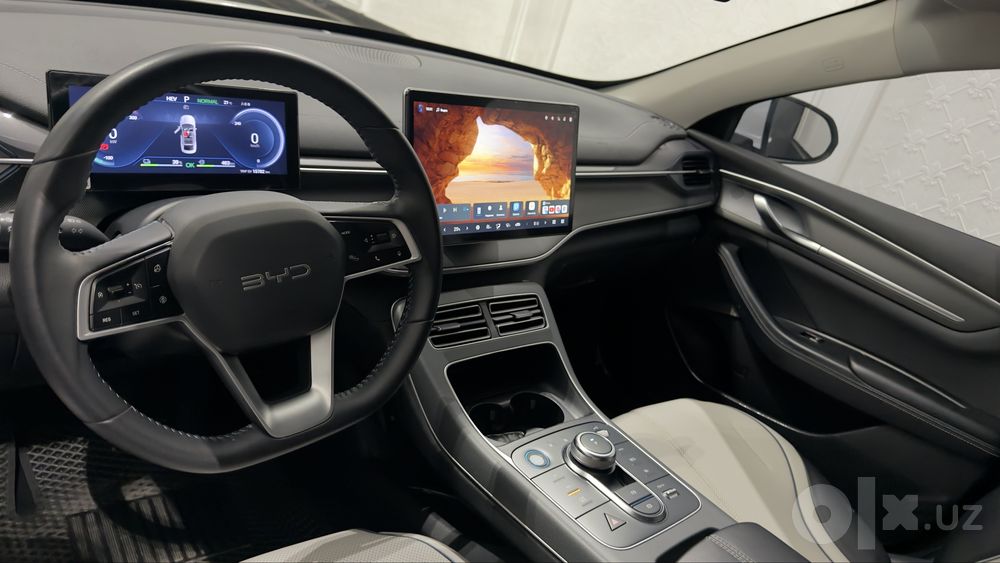 BYD Chazor 2024 Gibrid