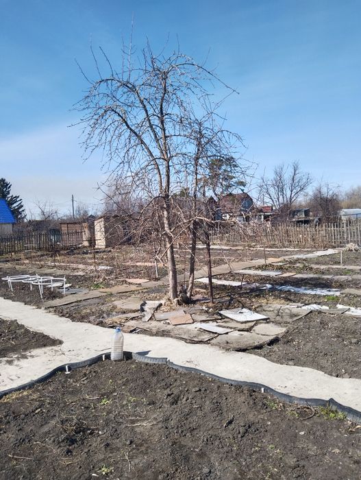 Продам дачу в обществе "Локомотив"