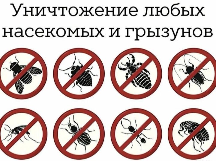 Дезинфекция домов, квартир.