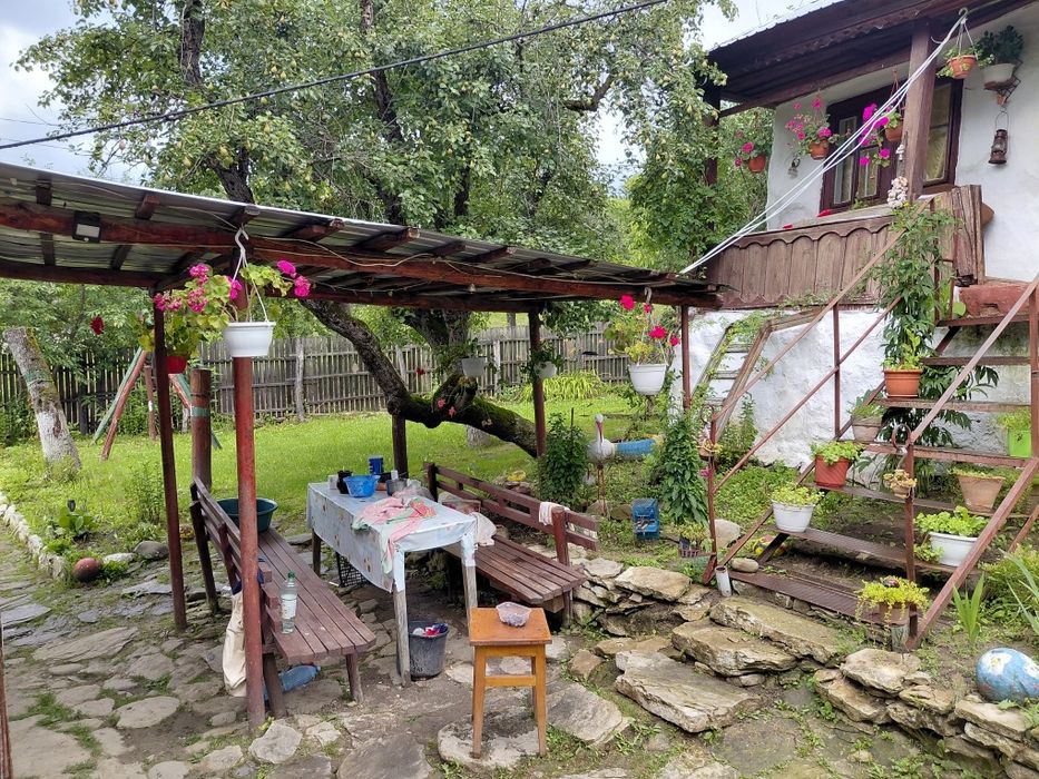 Casa Tradițională de vânzare