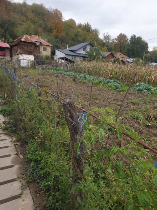 Casa plus teren de vânzare