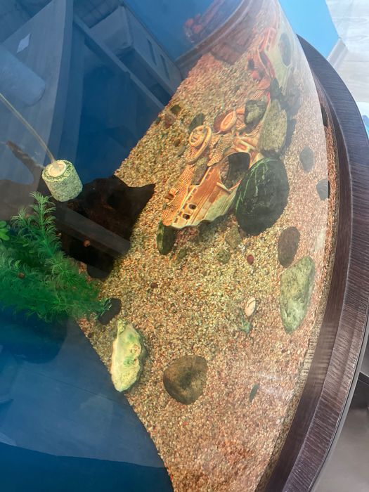 Угловой аквариум