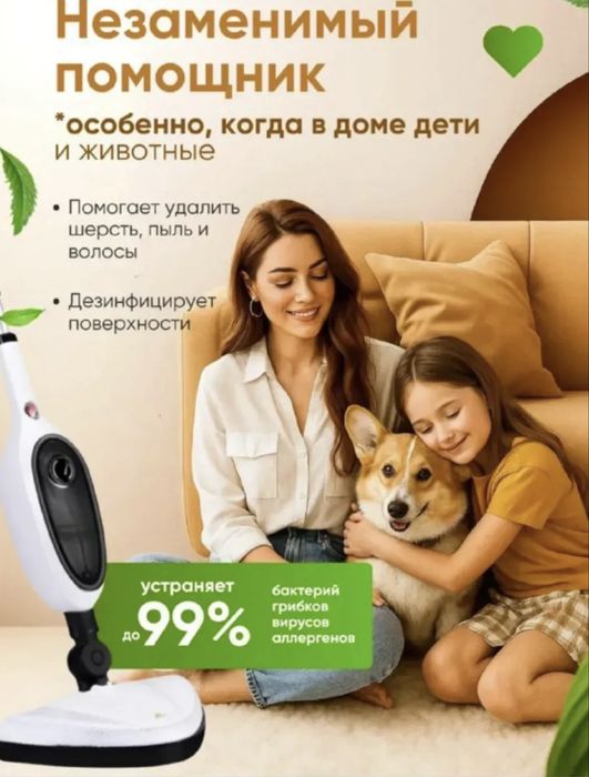 Паровая швабра Waylo