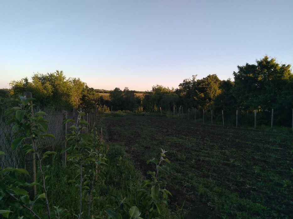 Продава се Парцел в Каварна - 780 кв.м за 33 €/кв.м - Снимка #3