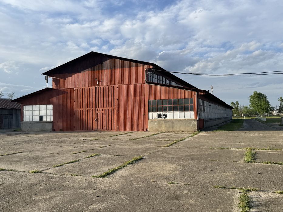 Hala de inchiriat in Com. Gropeni Jud. Braila